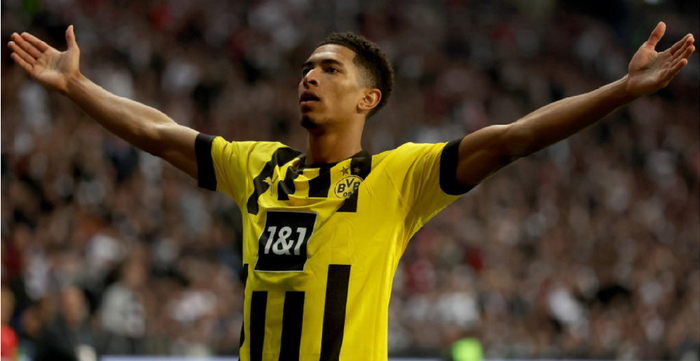 业内人士指 业内人士指